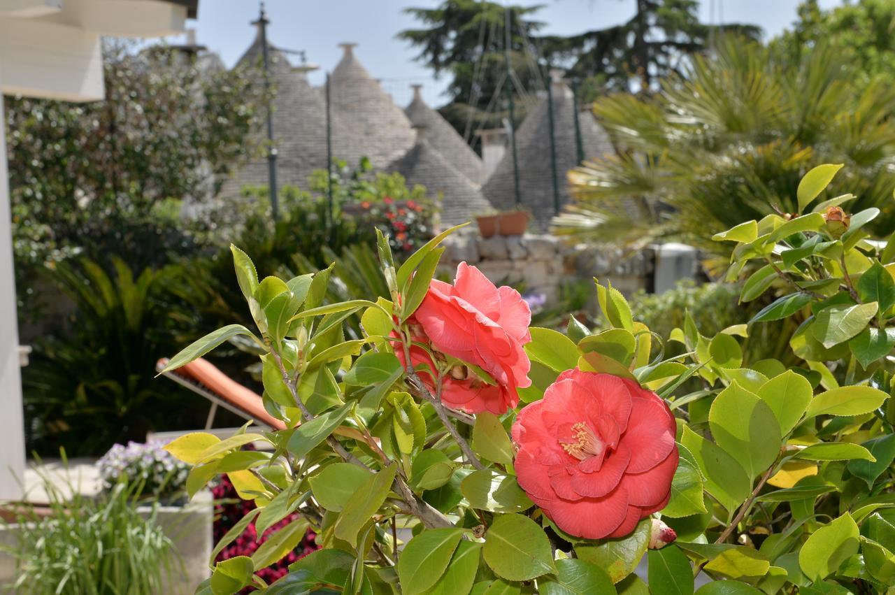 Astra Acomodação com café da manhã Alberobello Exterior foto